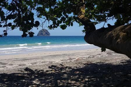 Le Chant Du Diamant Calme Vue Mer Et Plage A 50 M Le Diamant Luaran gambar