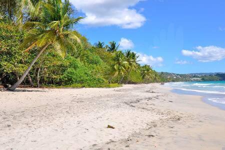 Le Chant Du Diamant Calme Vue Mer Et Plage A 50 M Le Diamant Luaran gambar